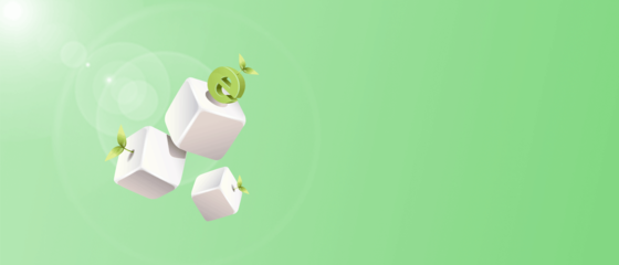 臺州網站搭建【臺州網站建設