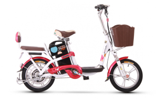愛瑪米樂電動自行車產(chǎn)品信息概覽 價(jià)格與制造商解析